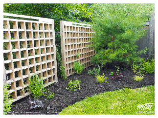 Garden Bed Planting & Re-Design