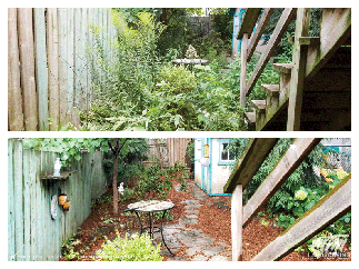 Toronto Home Backyard Clean Up Restoration
