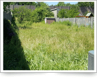 Overgrown Backyard Cleanup