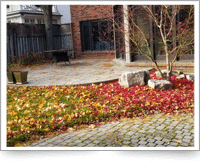 Image showing fallen leaves.