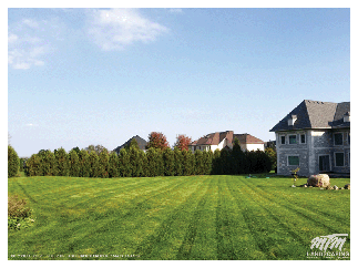 Large Estate Home Grass Cutting