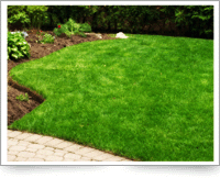 A Picture Of One Our Clients Perfectly Cut turf
